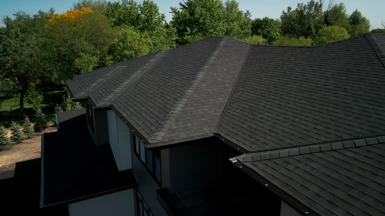Best Sheet Metal Roofing  in Serenada, TX